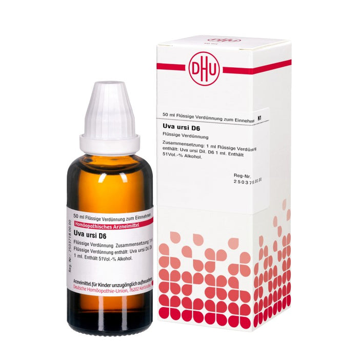 DHU Uva ursi D 6 Dilution, 50 ml Lösung