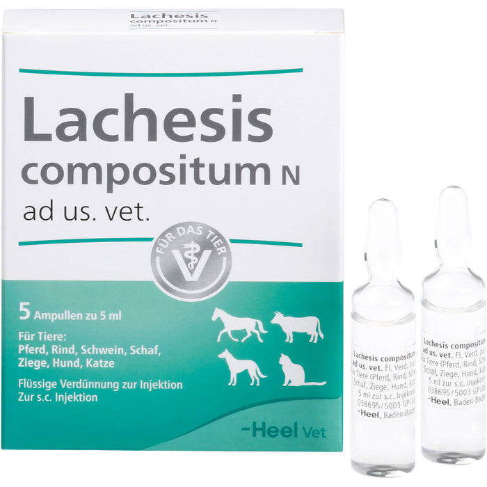 Heel Lachesis compositum N ad us.vet flüssige Verdünnung für Pferd, Rind, Schwein, Schaf, Ziege, Hund und Katze, 5 St. Ampullen