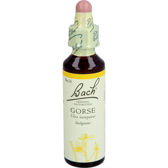 Bach Original Bach-Blüten Nr. 13 Gorse Stechginster Tropfen, 20 ml Lösung