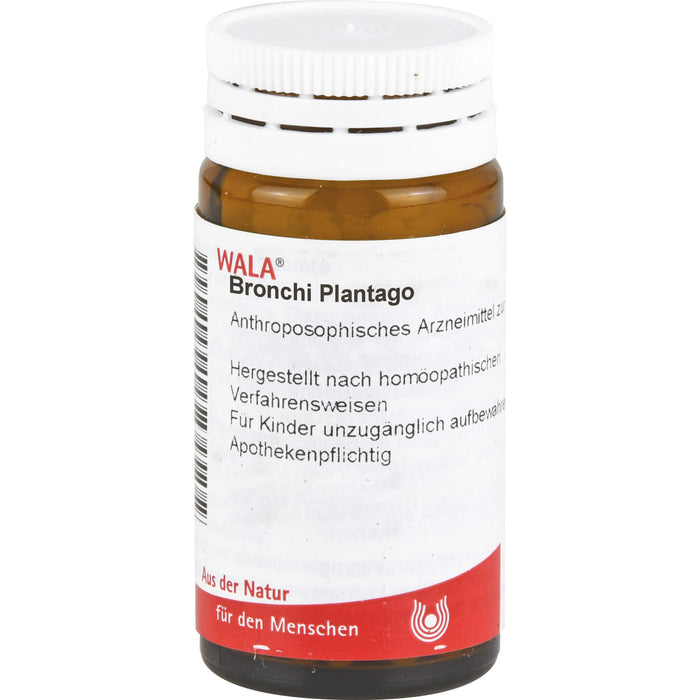 WALA Bronchi Plantago Globuli velati, 20 g Globules