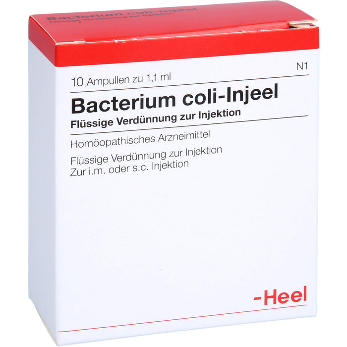 Bacterium coli-Injeel flüssige Verdünnung zur Injektion, 10 pc Ampoules