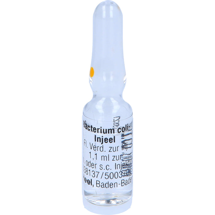 Bacterium coli-Injeel flüssige Verdünnung zur Injektion, 10 pcs. Ampoules