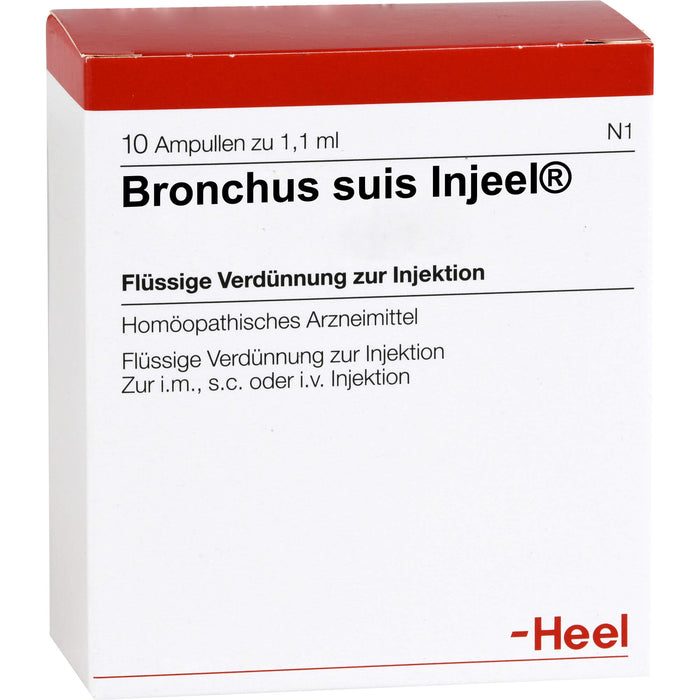 Bronchus suis-Injeel flüssige Verdünnung zur Injektion, 10 pc Ampoules