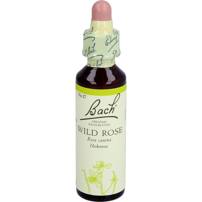 Bach Original Bach-Blüten Nr. 37 Wild Rose Heckenrose Tropfen, 20 ml Lösung