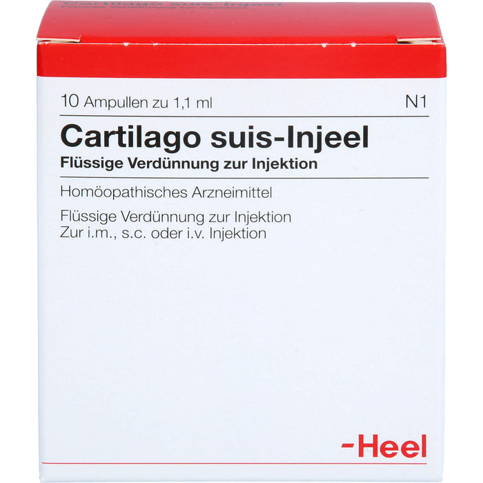 Cartilago suis-Injeel Ampullen, 10 pcs. Ampoules