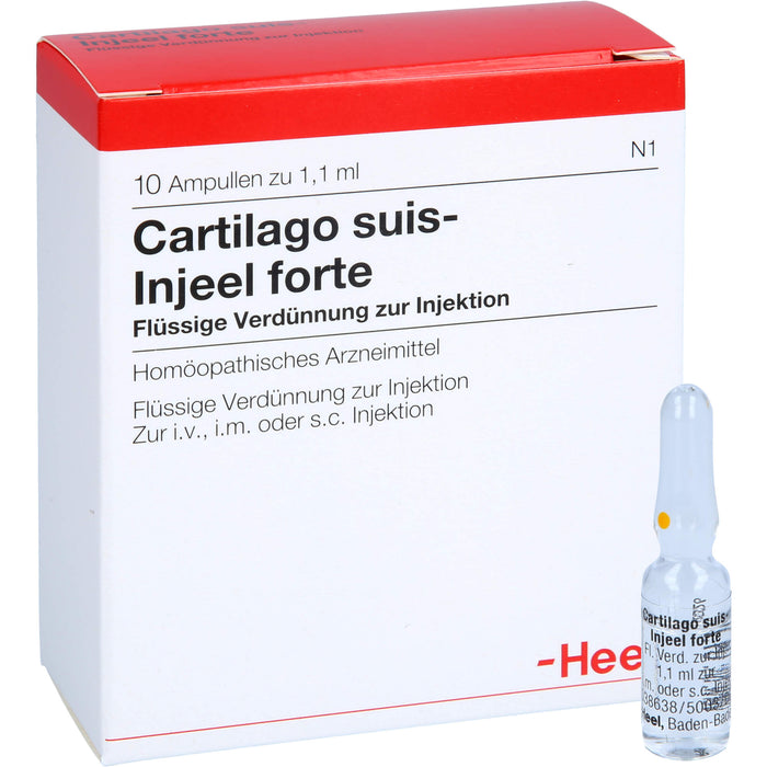 Heel Cartilago suis-Injeel forte flüssige Verdünnung, 10 St. Ampullen