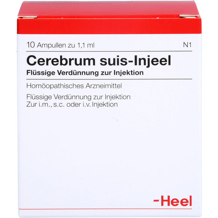 Cerebrum suis-Injeel flüssige Verdünnung, 10 St. Ampullen