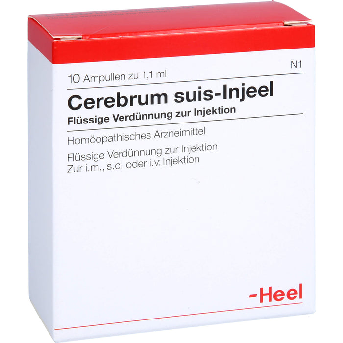 Cerebrum suis-Injeel flüssige Verdünnung, 10 St. Ampullen