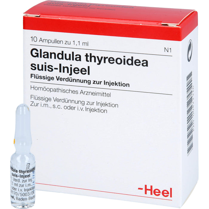 Glandula thyreoidea suis-Injeel flüssige Verdünnung, 10 pc Ampoules