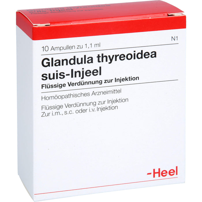 Glandula thyreoidea suis-Injeel flüssige Verdünnung, 10 pc Ampoules