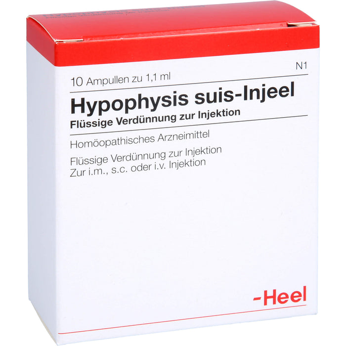 Hypophysis suis-Injeel flüssige Verdünnung, 10 St. Ampullen