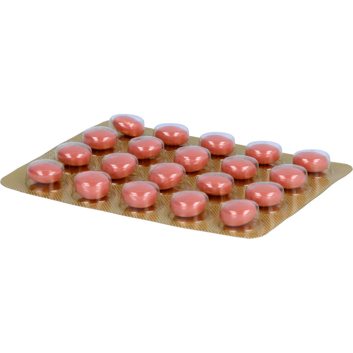 Enzym-Wied N natürliche Enzyme Dragees, 120 pc Tablettes