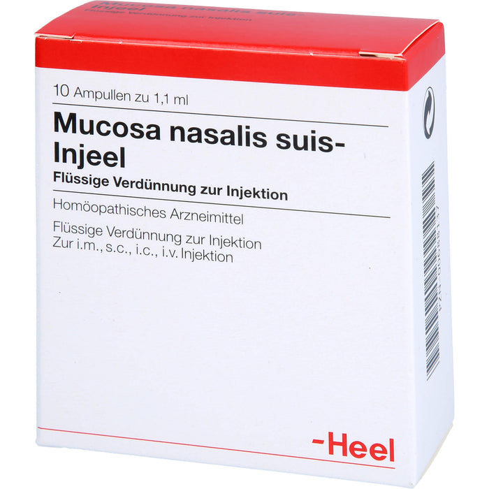 Mucosa nasalis suis-Injeel Inj.-Lsg., 10 St AMP