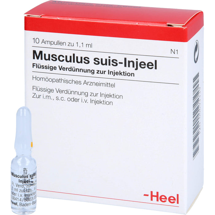 Musculus suis-Injeel Inj.-Lsg., 10 St AMP