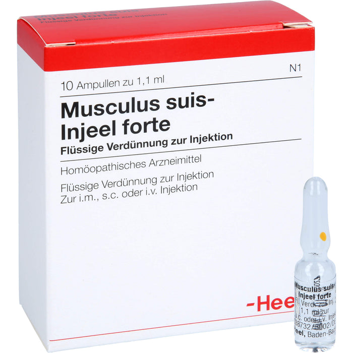 Musculus suis-Injeel forte flüssige Verdünnung, 10 St. Ampullen