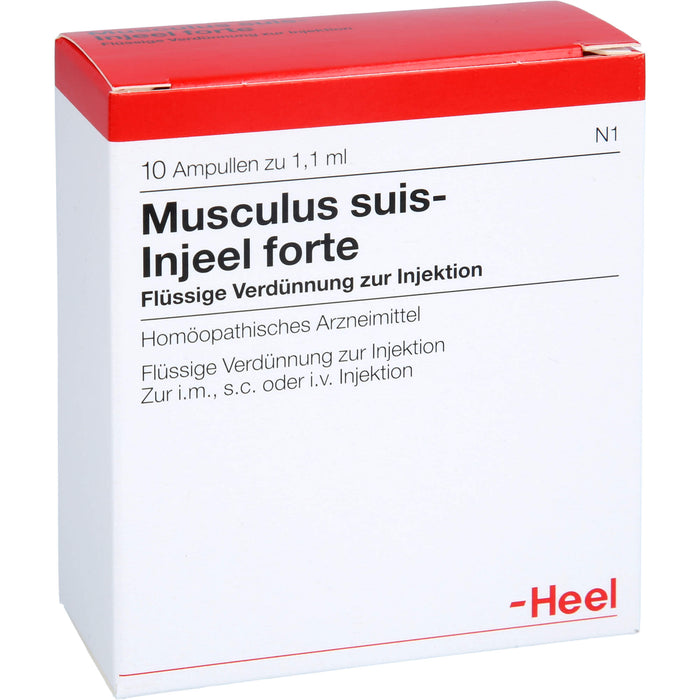 Musculus suis-Injeel forte flüssige Verdünnung, 10 St. Ampullen