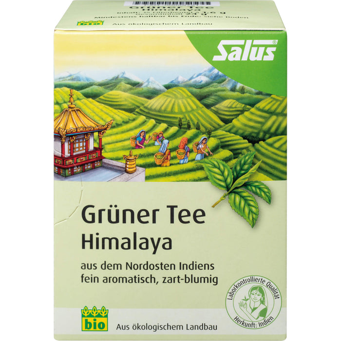 Grüner Tee Himalaya bio Salus, 15 St FBE