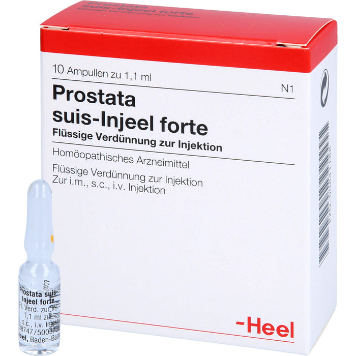 Prostata suis-Injeel forte Injektionslösung, 10 pcs. Ampoules