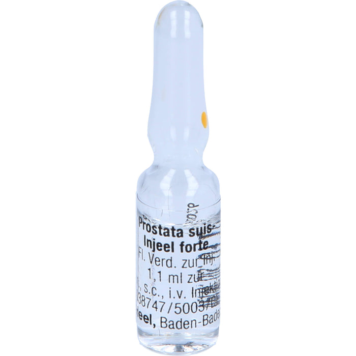 Prostata suis-Injeel forte Injektionslösung, 10 pc Ampoules