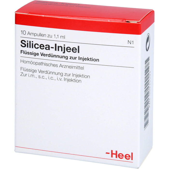 Heel Silicea-Injeel flüssige Verdünnung zur Injektion, 10 pcs. Ampoules