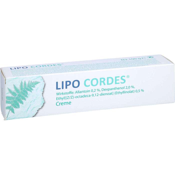 LIPO CORDES Creme bei fettarmer Haut, 100 g Cream