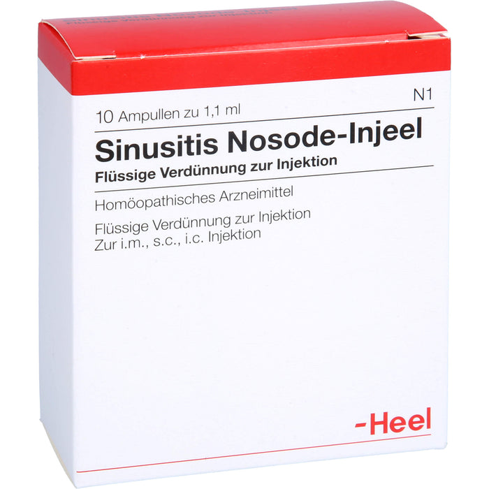 Heel Sinusitis-Nosode-Injeel flüssige Verdünnung, 10 St. Ampullen