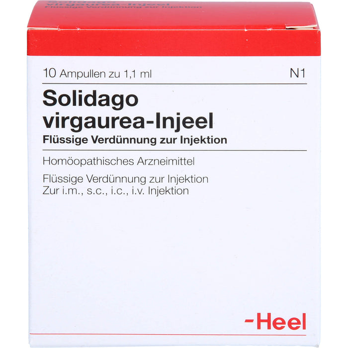 Solidago Virgaurea Injeel Amp., 10 St AMP