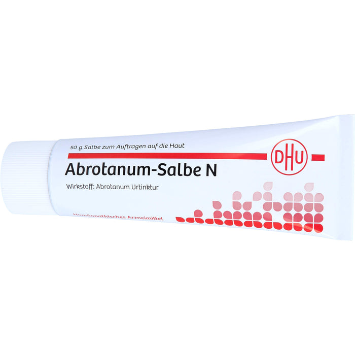 DHU Abrotanum-Salbe N, 50 g Salbe