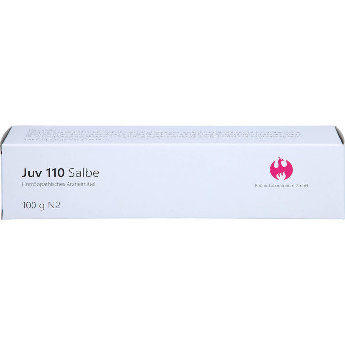 Juv 110 Salbe, 100 g Ointment
