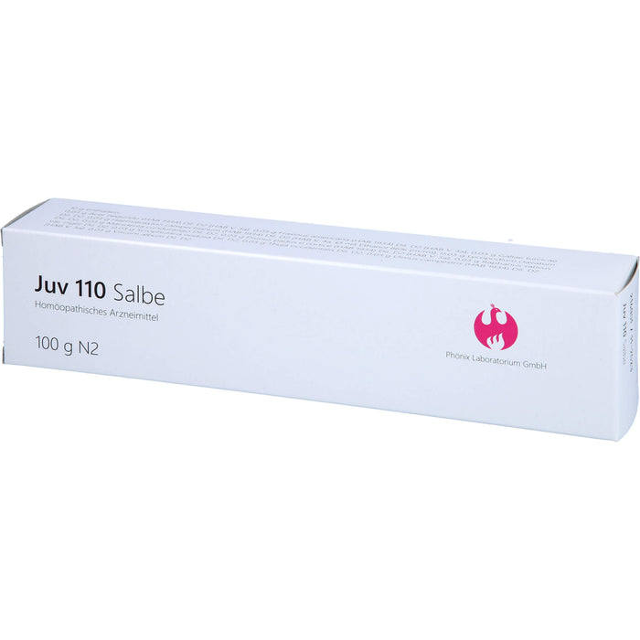Juv 110 Salbe, 100 g Ointment