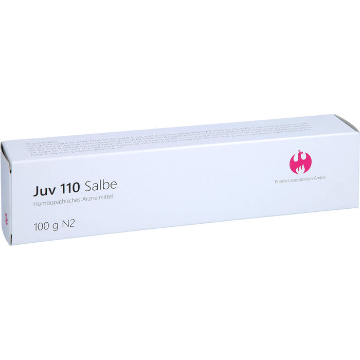 Juv 110 Salbe, 100 g Onguent