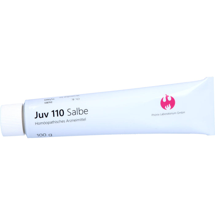 Juv 110 Salbe, 100 g Onguent