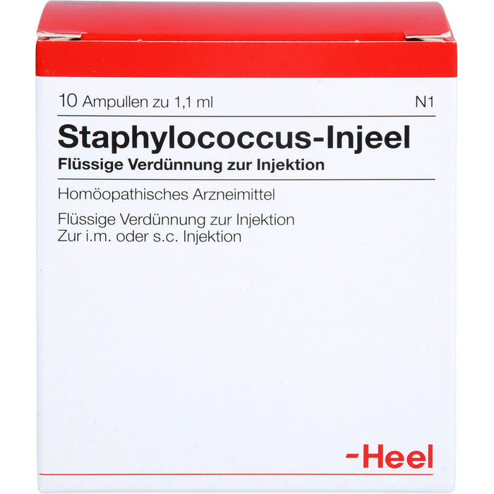 Heel Staphylococcus-Injeel flüssige Verdünnung zur Injektion, 10 pc Ampoules