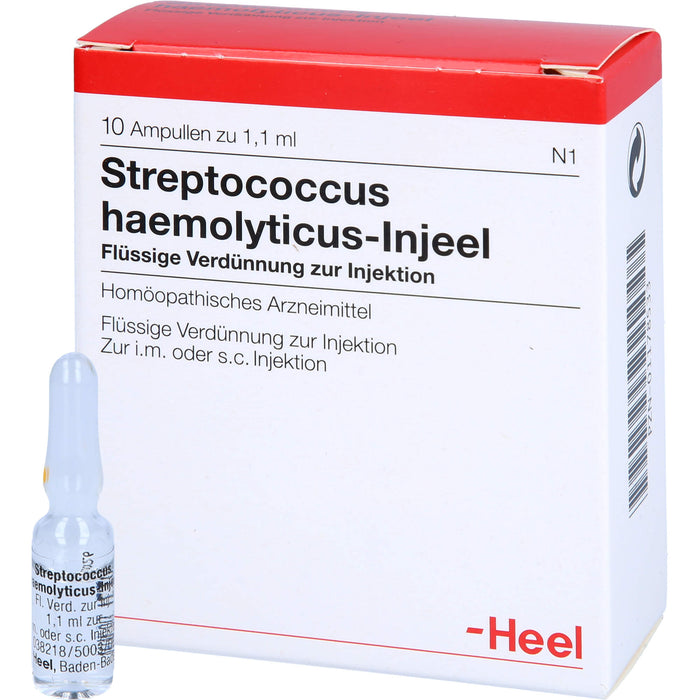 Streptococcus haemolyticus-Injeel flüssige Verdünnung, 10 pc Ampoules