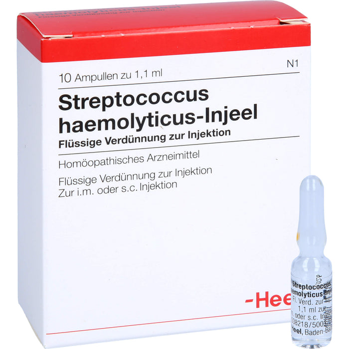 Streptococcus haemolyticus-Injeel flüssige Verdünnung, 10 pcs. Ampoules