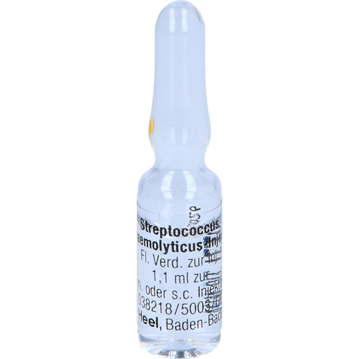 Streptococcus haemolyticus-Injeel flüssige Verdünnung, 10 pc Ampoules