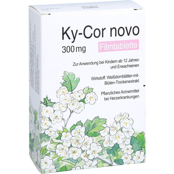 Ky-Cor novo, 300 mg, Filmtablette, 100 St FTA