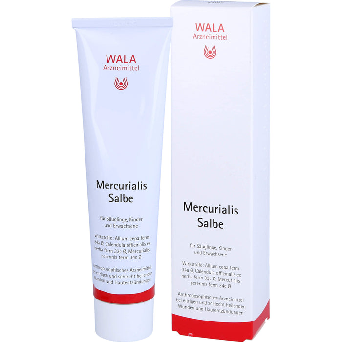 WALA Mercurialis Salbe bei eitrigen und schlecht heilenden Wunden und Hautentzündungen, 100 g Ointment