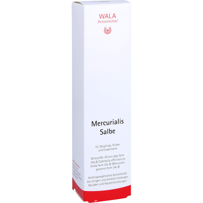 WALA Mercurialis Salbe bei eitrigen und schlecht heilenden Wunden und Hautentzündungen, 100 g Onguent