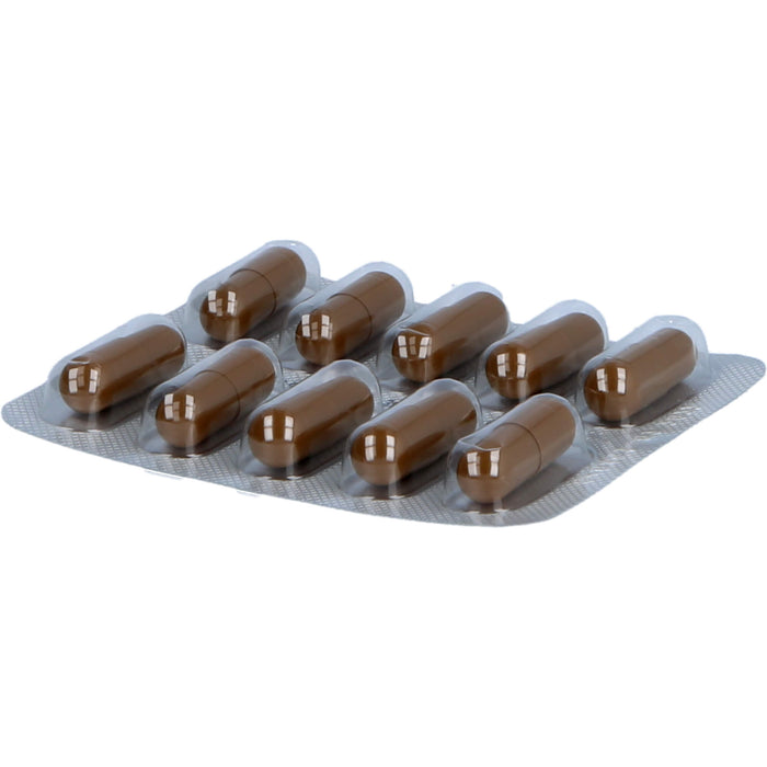 Essentiale Kapseln 300 mg bei akuten und chronischen Lebererkrankungen, 250 St. Kapseln