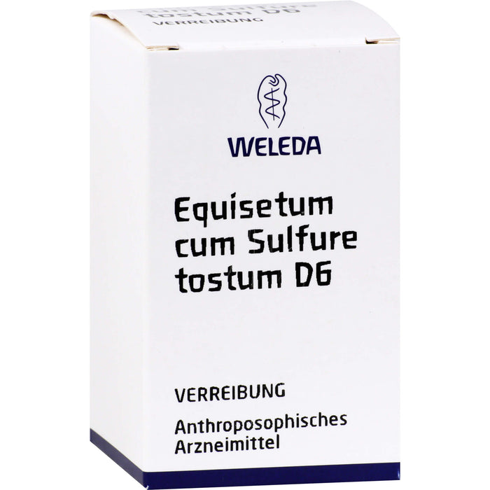 WELEDA Equisetum cum Sulfure tostum D6 Verreibung, 20 g Pulver