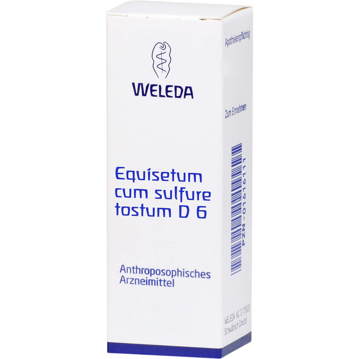 WELEDA Equisetum cum Sulfure tostum D6 Verreibung, 20 g Pulver