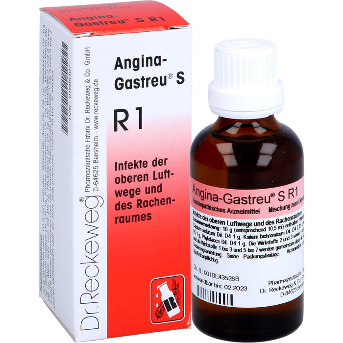 Angina-Gastreu S R1 Tropfen, 50 ml MIS