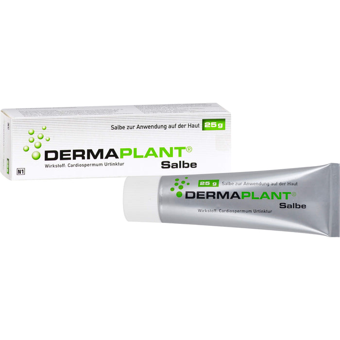 DERMAPLANT Salbe, 25 g Onguent