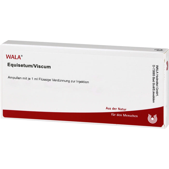 WALA Equisetum/Viscum flüssige Verdünnung, 10 St. Ampullen