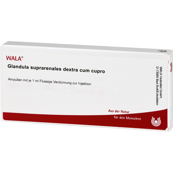 Glandula Supraren. Dextra c. Cupro coll. Wala Ampullen, 10X1 ml AMP