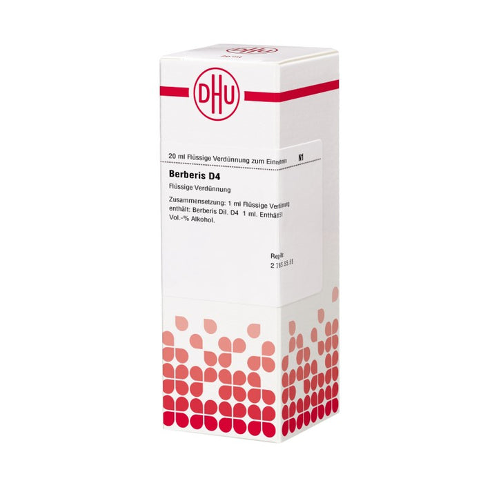 DHU Berberis D4 Dilution, 20 ml Lösung