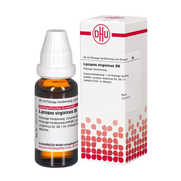 DHU Lycopus virginicus D6 Dilution, 20 ml Lösung