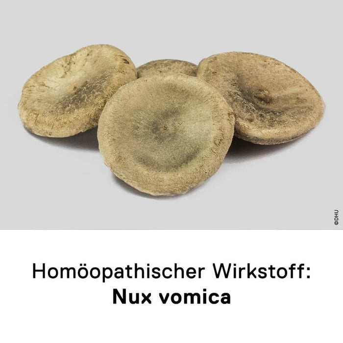 DHU Nux vomica D6 Streukügelchen, 10 g Globuli