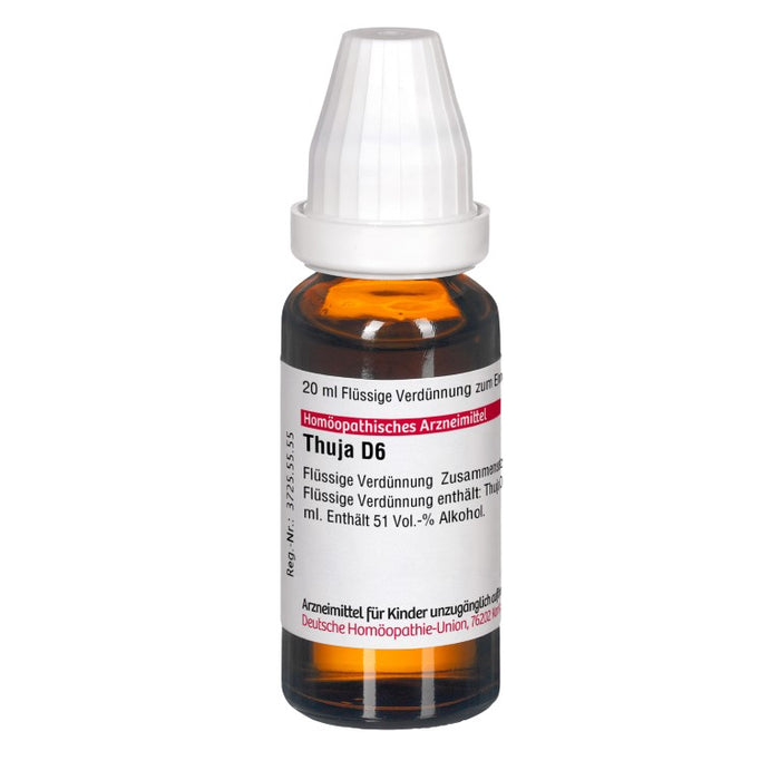 DHU Thuja D6 Dilution, 20 ml Lösung